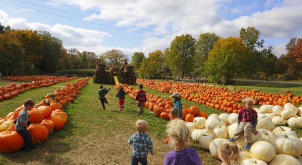 Tips for Setting Up Luxury Portable Restroom Trailers During Fall Festivals